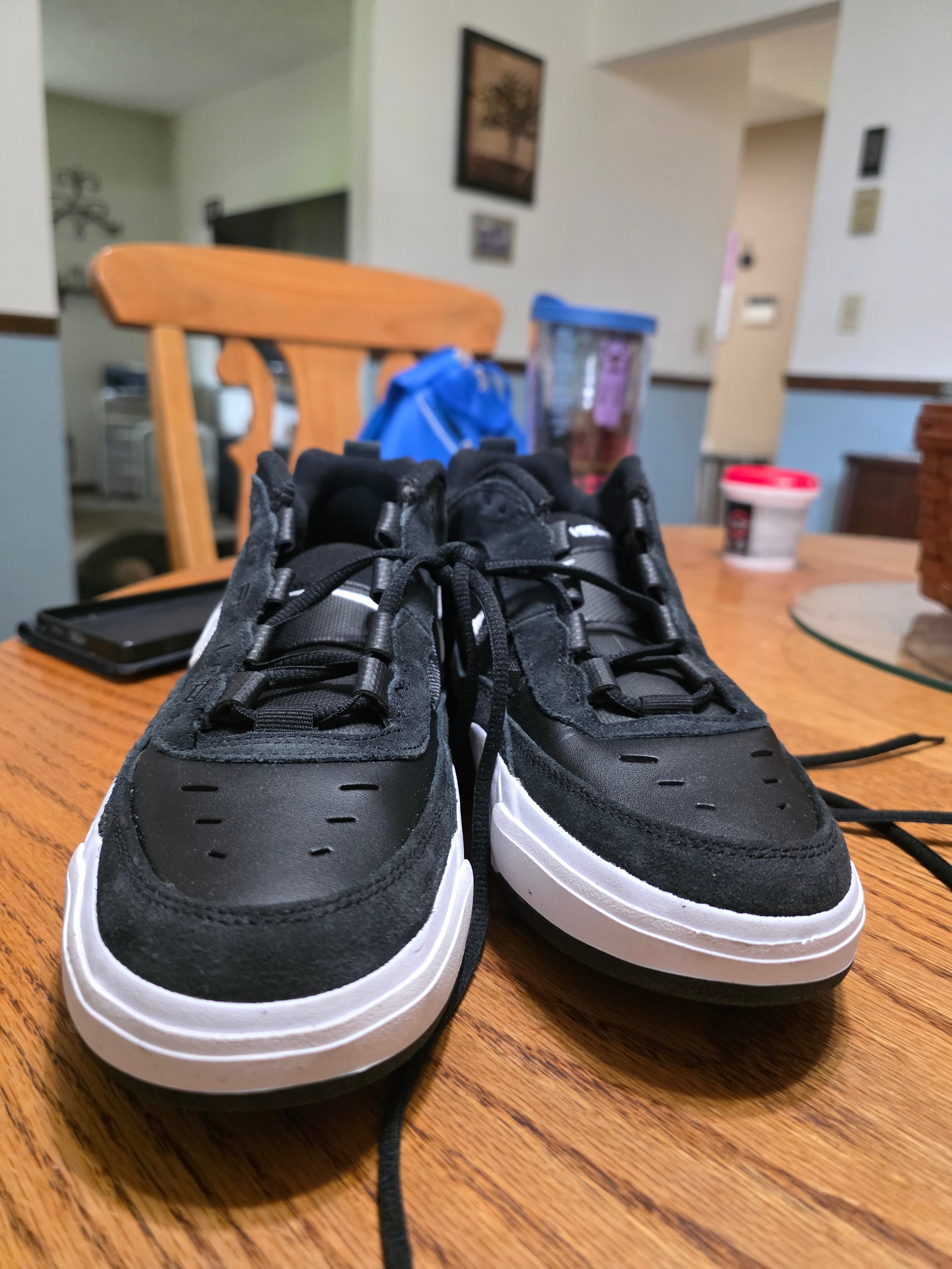 Nike SB Ishod skate shoes,  size 10.5m.