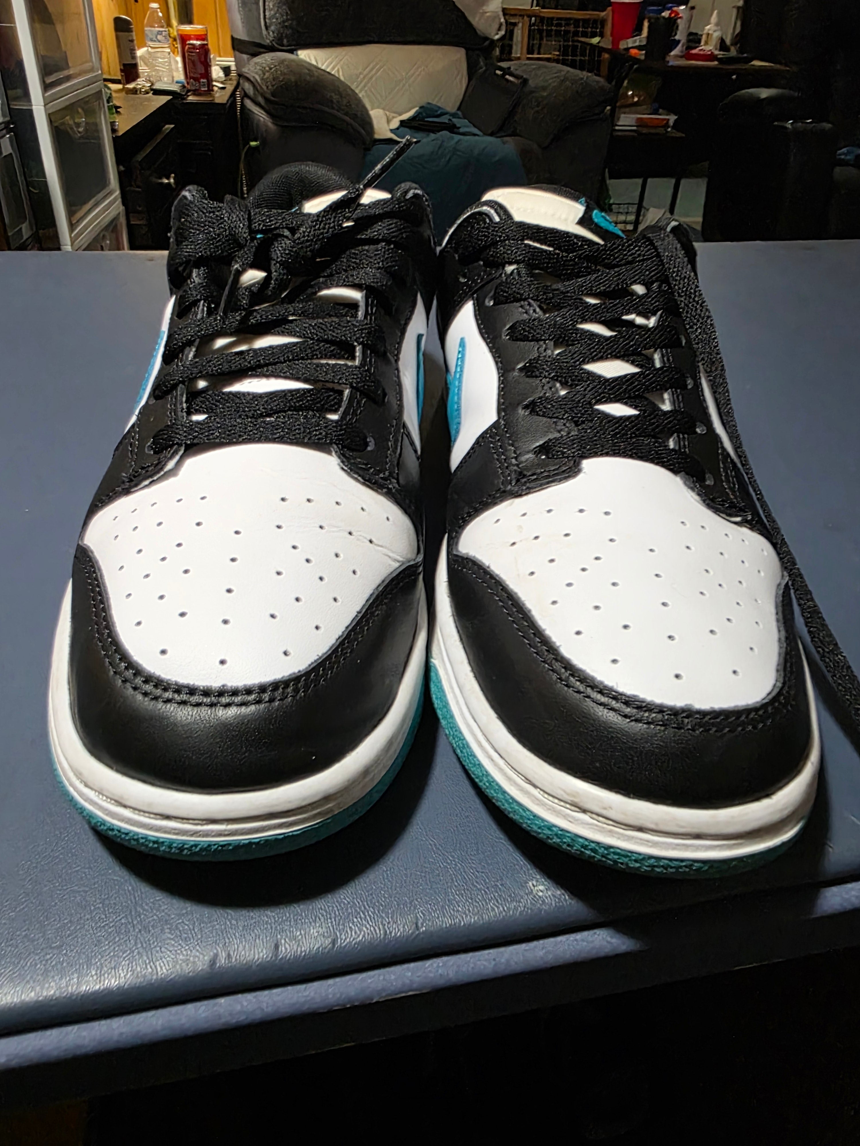 Nike Dunk Low Dusty Cactus, size 10m.