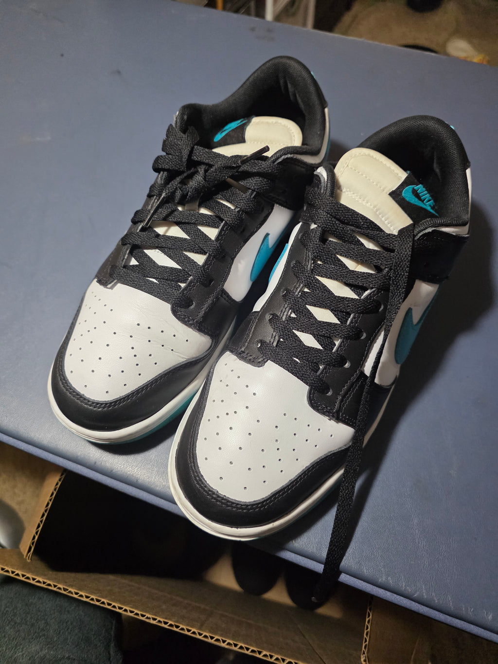 Nike Dunk Low Dusty Cactus, size 10m.