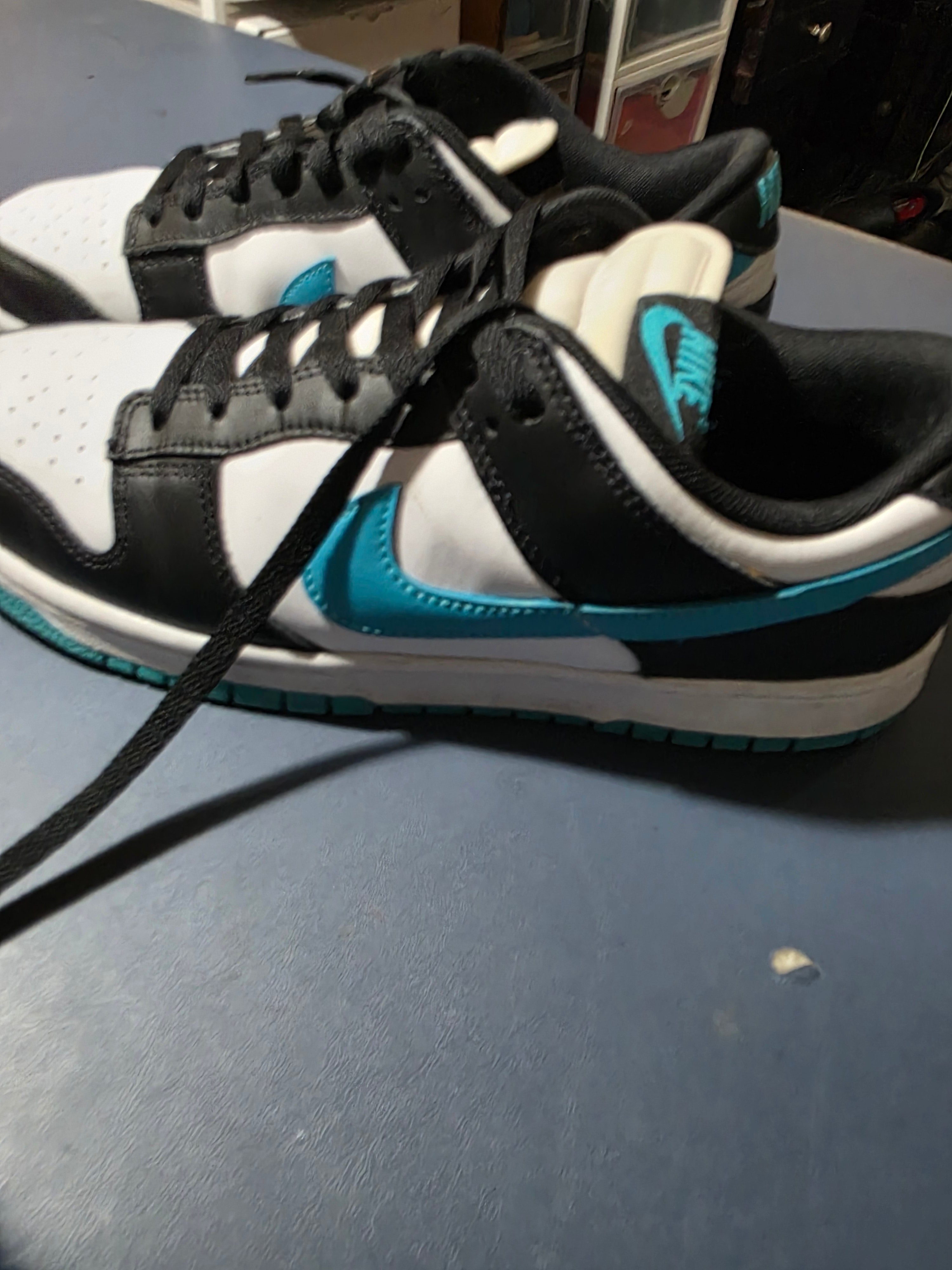Nike Dunk Low Dusty Cactus, size 10m.