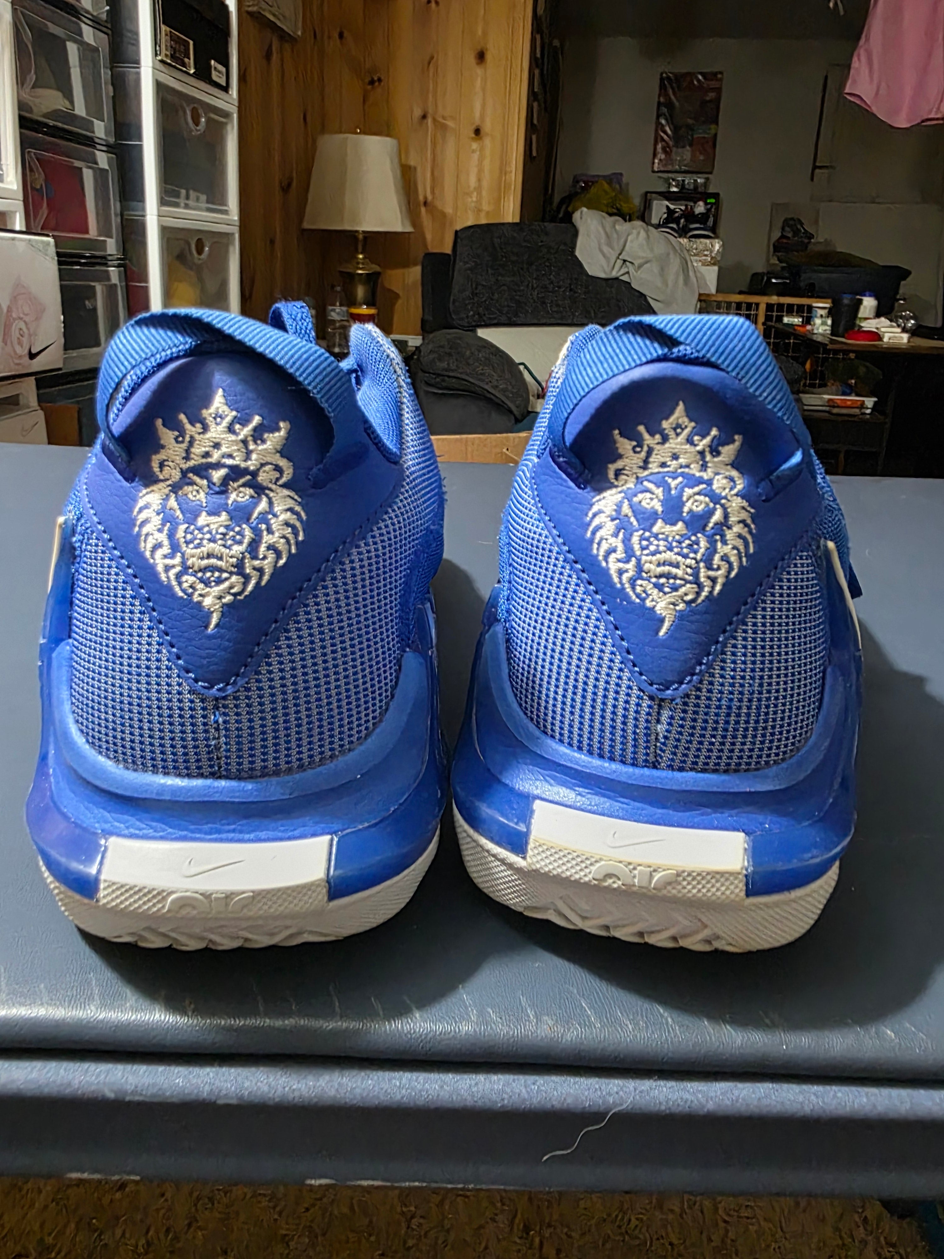 Nike Lebron Witness 7, size 8m.